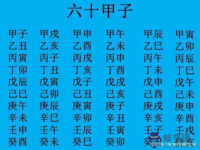 八字月柱查詢