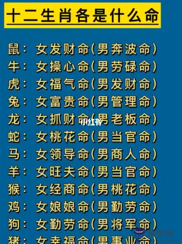 八字是屬于哪個生肖