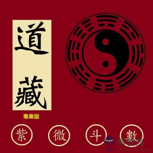 天府入命看八字