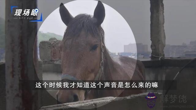 長沙八字墻發廊