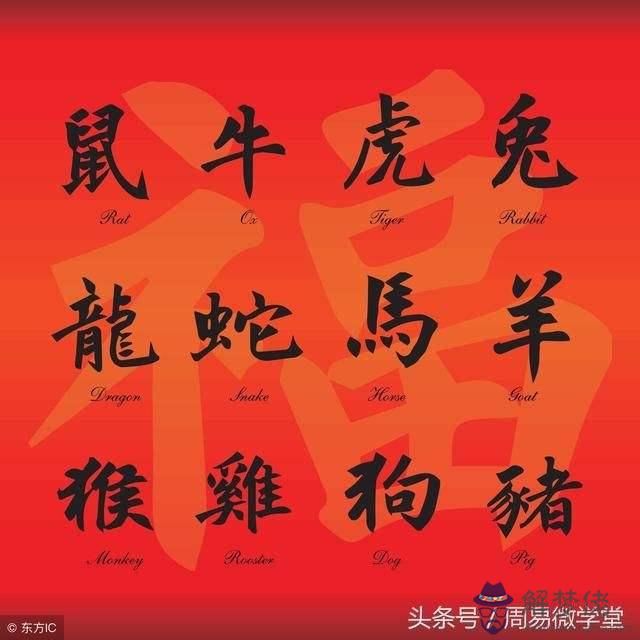 胡一鳴八字十六集視頻的簡單介紹