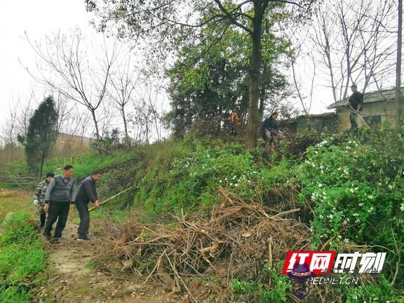 益陽市赫山區八字哨鎮復興村