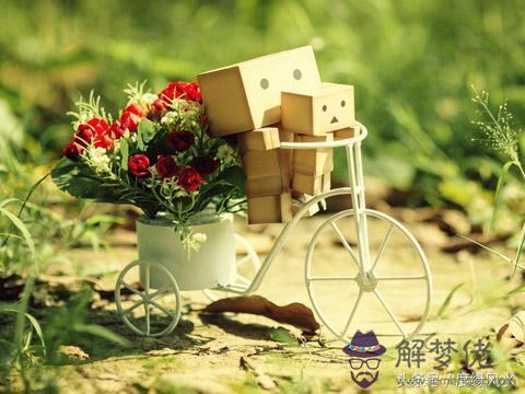 八字看配偶長相查詢免費