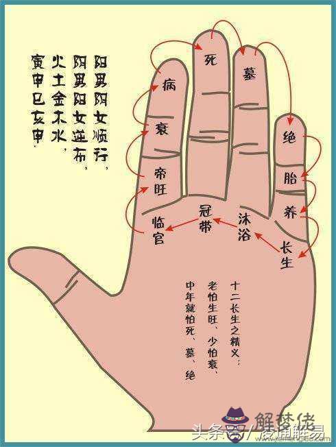 地勢十神八字查詢