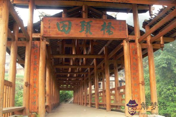 八字環海龍王塑料 八字環海龍王塑料