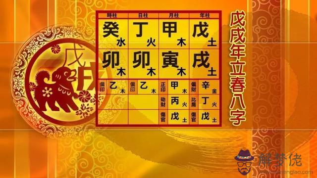2o19狗年運勢