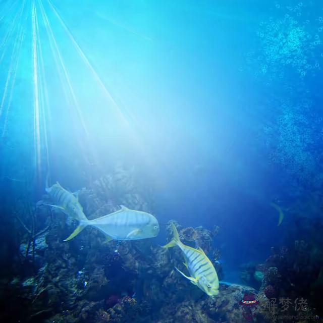 生肖化解八字多水化解