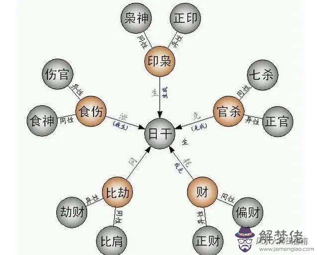 關于八字十神坐支經典理論女命的信息