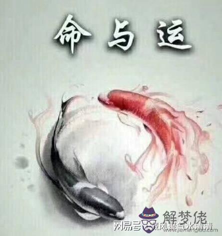 批八字流月運勢