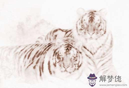 屬虎的女孩要和什麼生肖最配：女的98年的屬虎和什麼屬相最配？