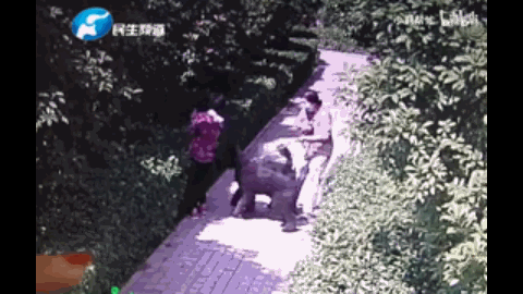 八字火多缺木缺金的人性格 八字火多缺木缺金的人性格