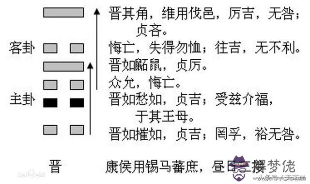 晉卦詳解及運勢