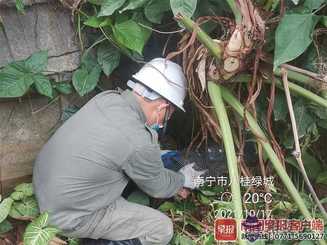 8月下半月牛蛇鼠運勢特別好的