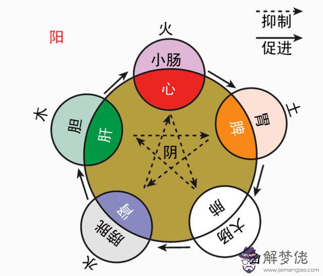 五行散適合什麼人吃：金木水火土五行屬性各代表什麼