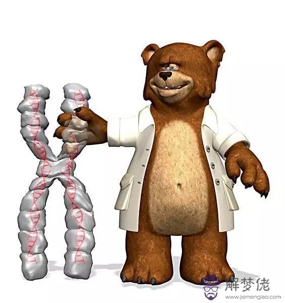 獅子座女生知乎，獅子座女生的真實性格