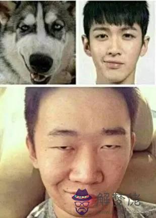 獅子座女生知乎，獅子座女生的真實性格