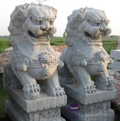獅子座女生知乎，獅子座女生的真實性格