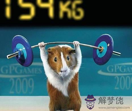 獅子座女生知乎，獅子座女生的真實性格