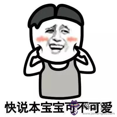 獅子座女生知乎，獅子座女生的真實性格