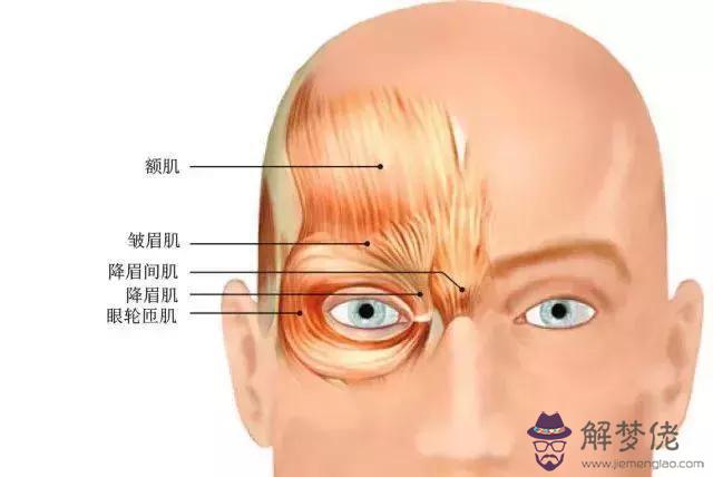 眼睛下面八字皺紋叫什麼