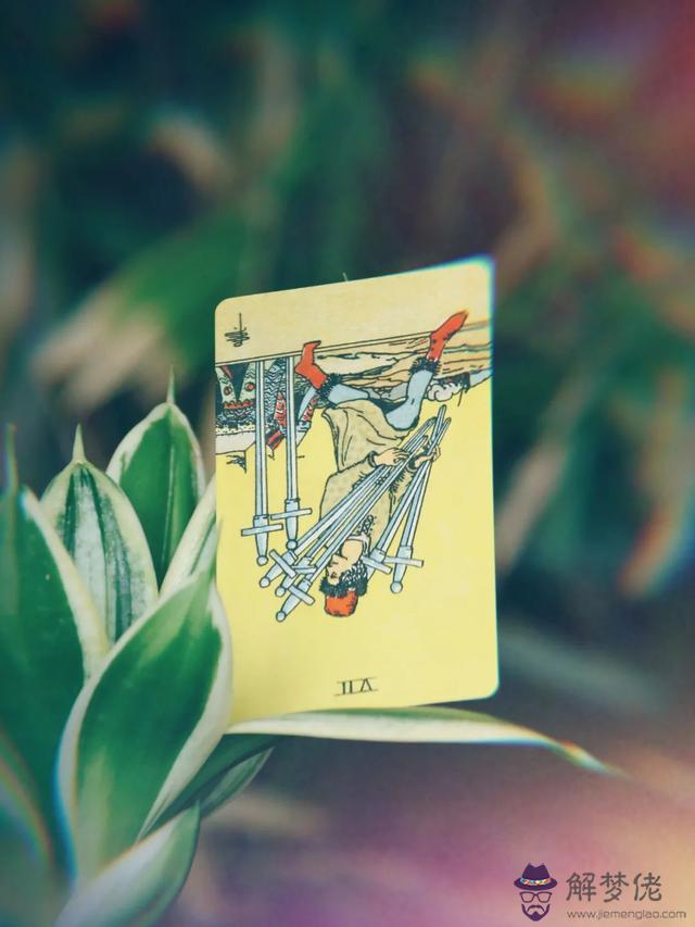 半年內感情運勢