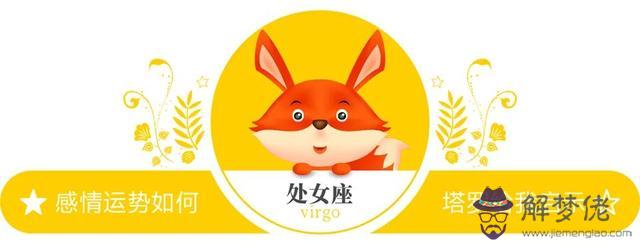 半年內感情運勢