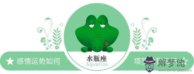 半年內感情運勢