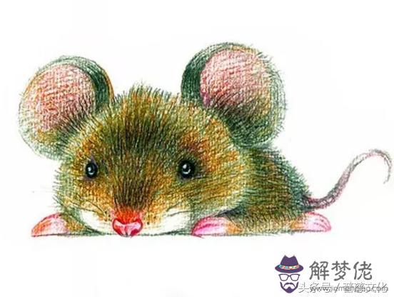 12生肖運勢提前播報
