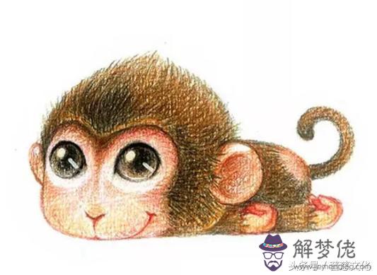 12生肖運勢提前播報