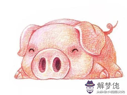 12生肖運勢提前播報