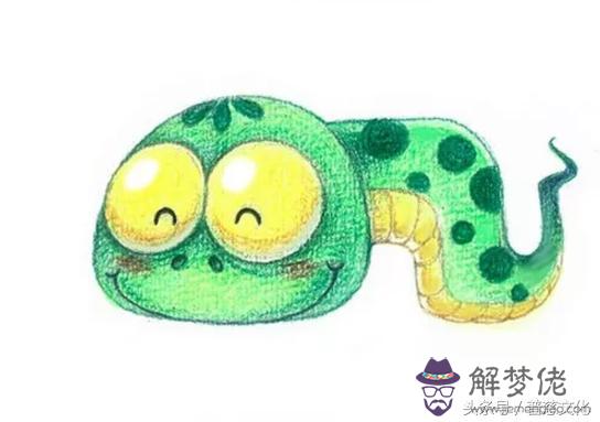 12生肖運勢提前播報