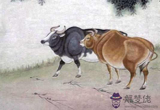 澗下水命人的命運運勢