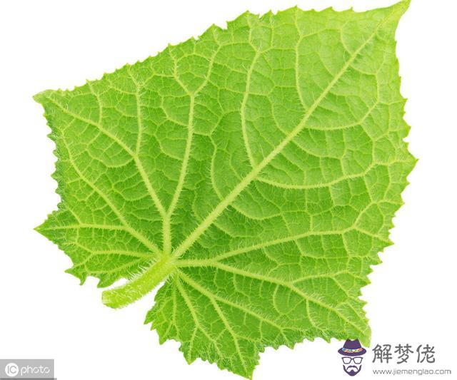 有沒有兩百萬分之一的運勢