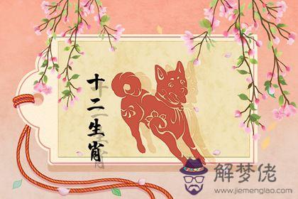 包含今年82年狗年運勢的詞條