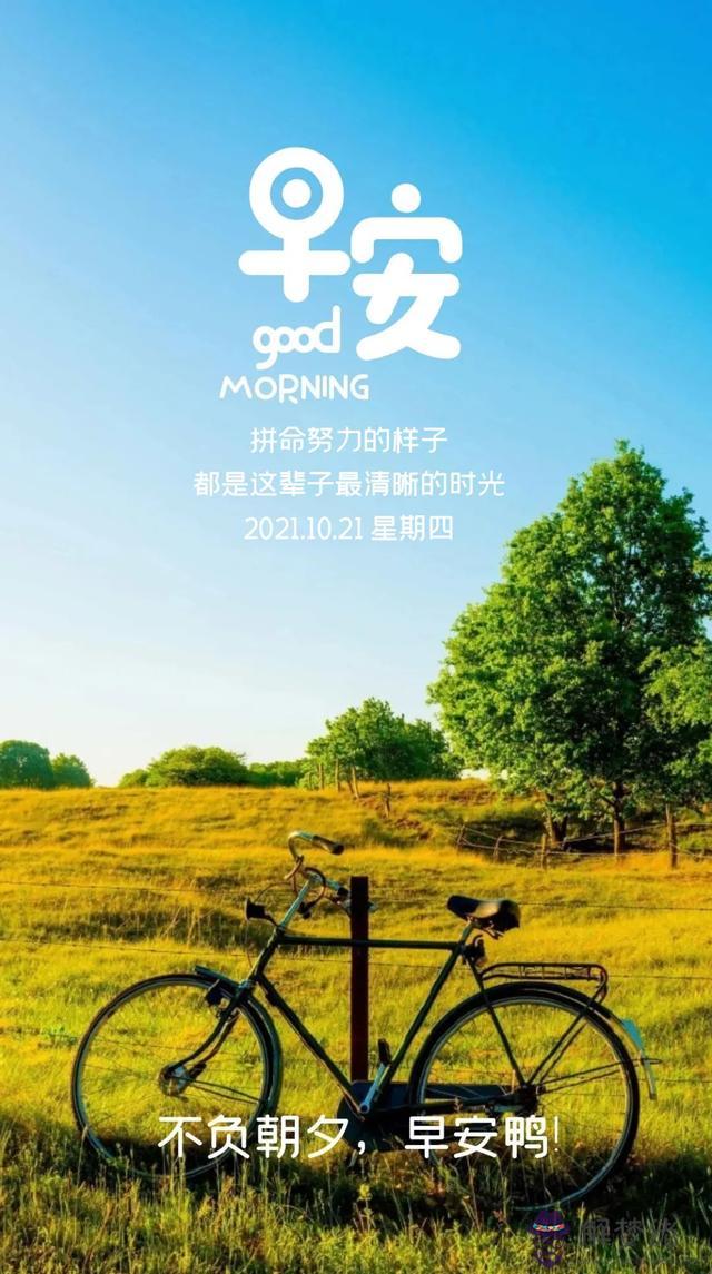 近期運勢好怎麼說