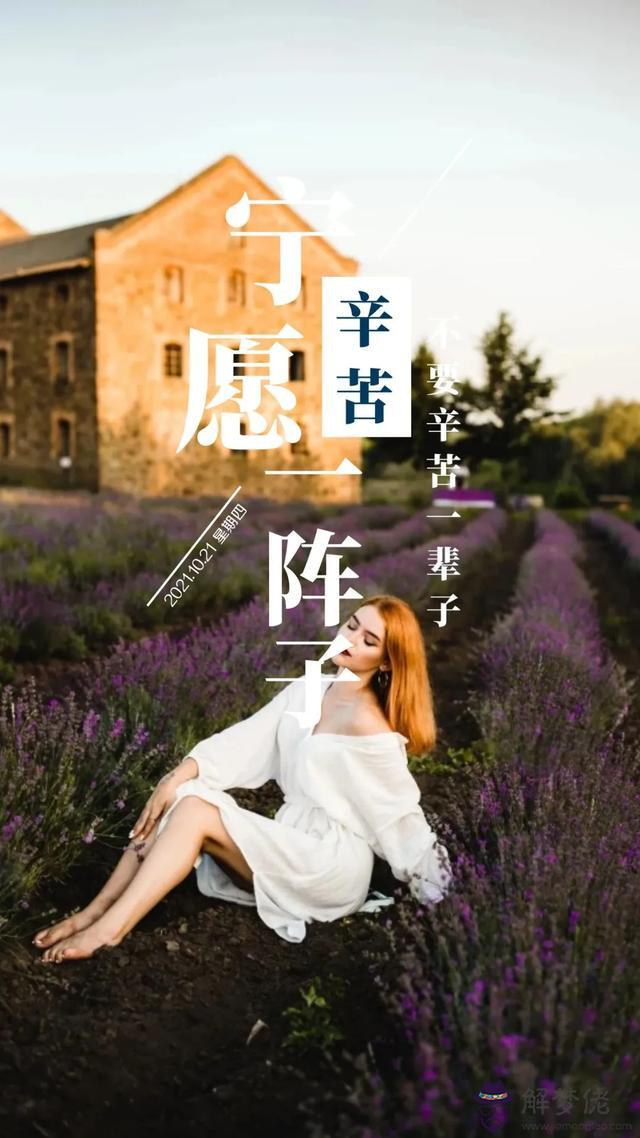 近期運勢好怎麼說