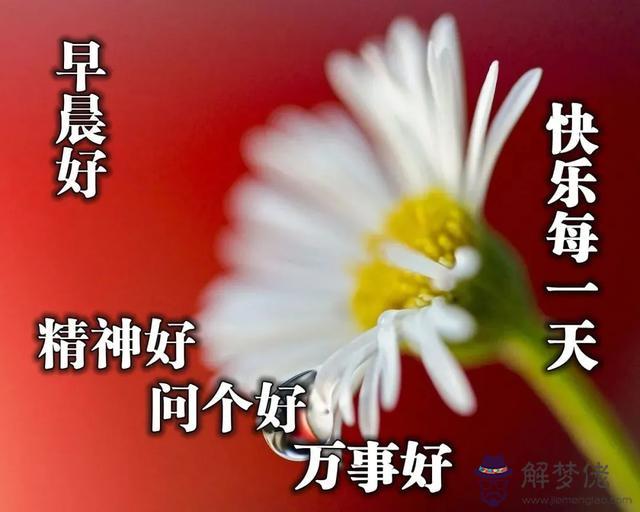 近期運勢好怎麼說