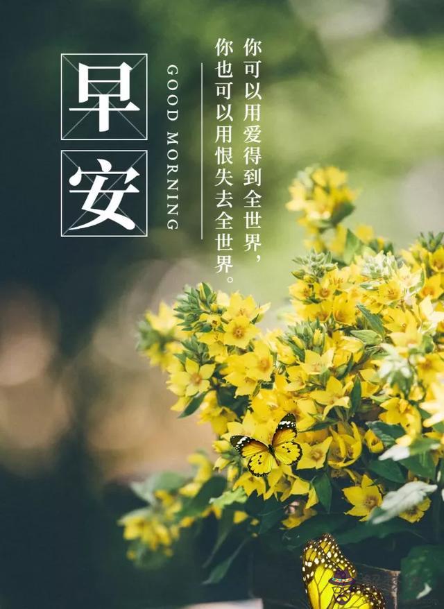近期運勢好怎麼說