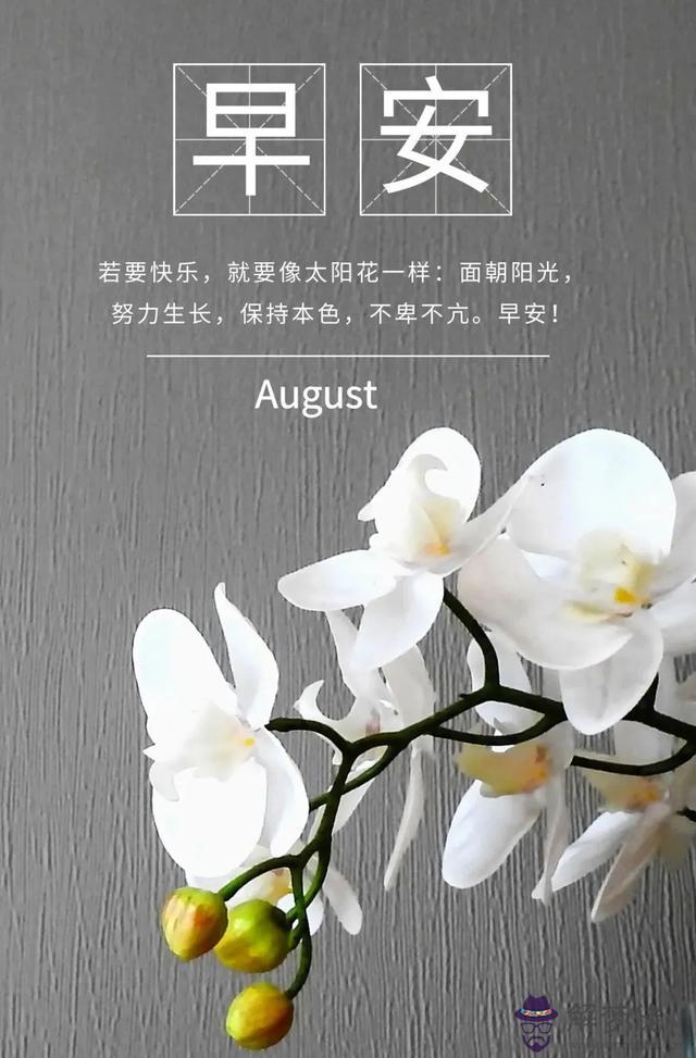 近期運勢好怎麼說