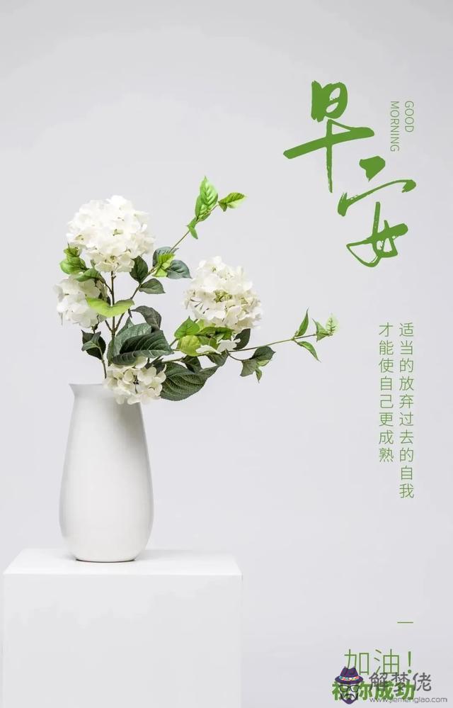 近期運勢好怎麼說