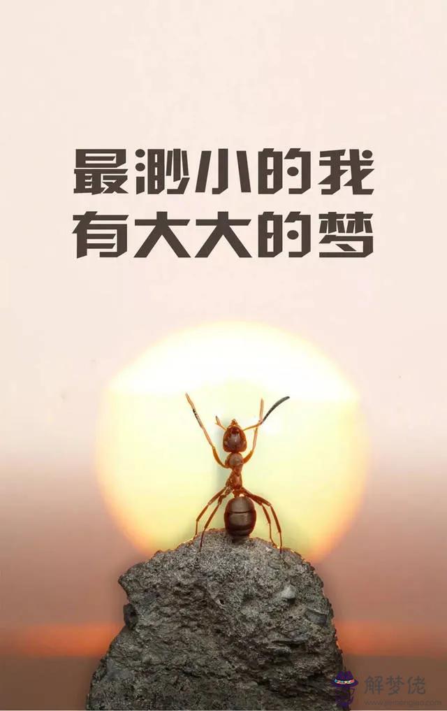 近期運勢好怎麼說