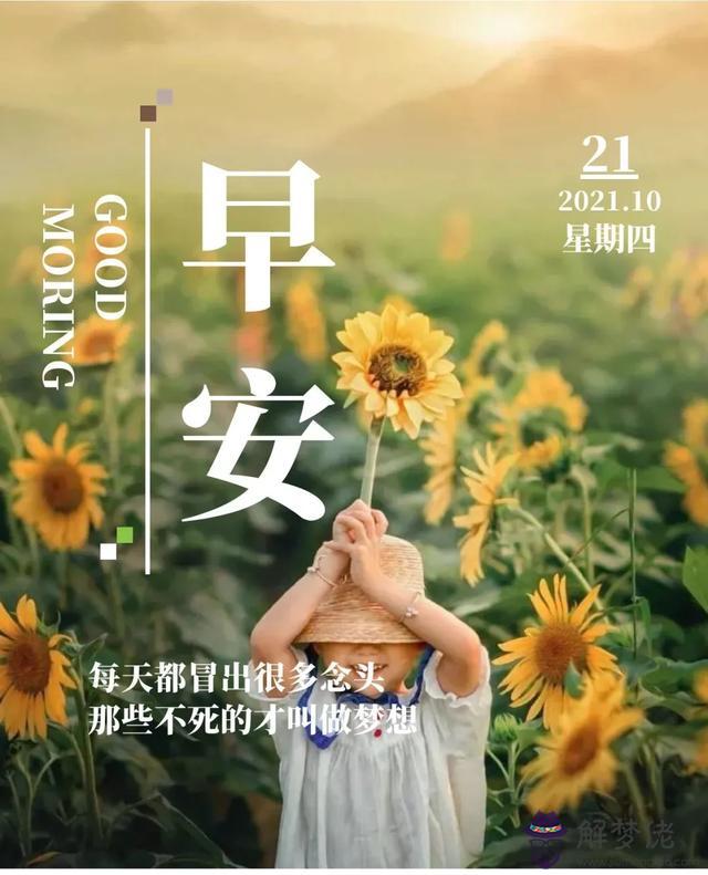 近期運勢好怎麼說
