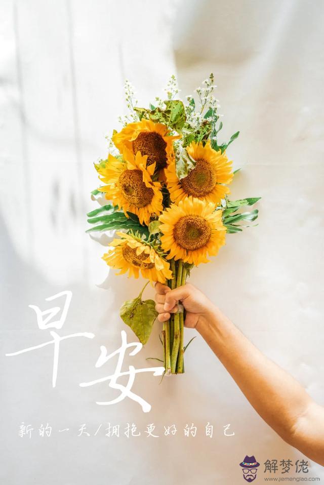 近期運勢好怎麼說