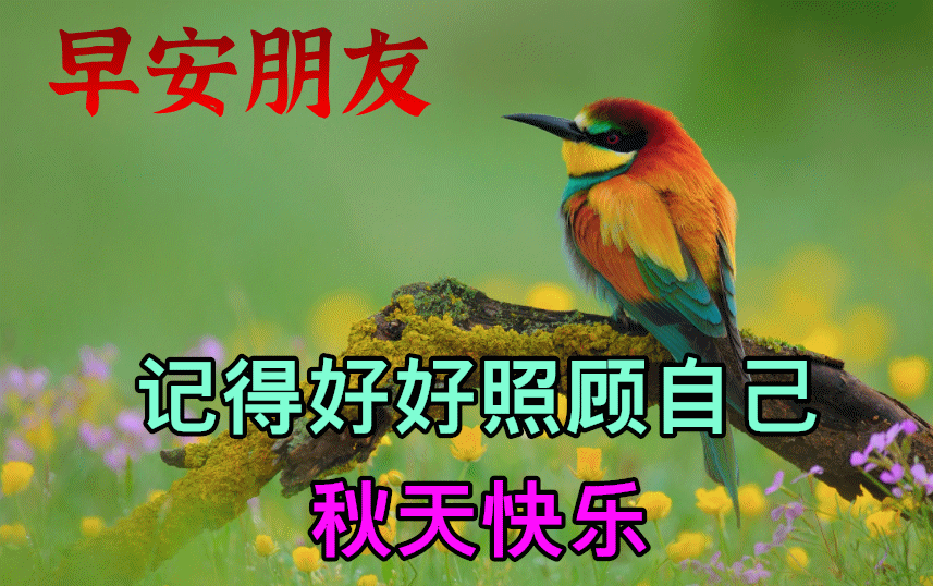 近期運勢好怎麼說