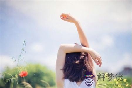 最近生肖豬運勢