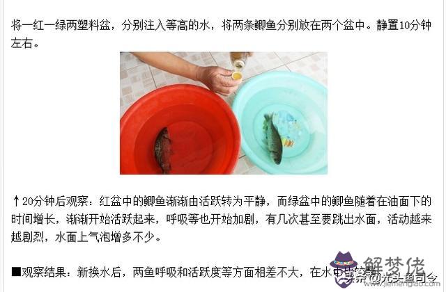 鯉魚紋在后背運勢越差怎麼辦