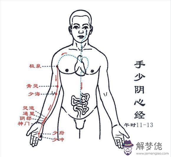 胖的人運勢