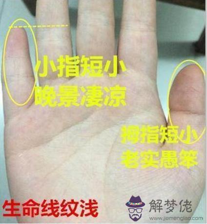 智慧線中斷的人的運勢