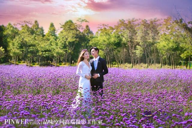 龍男豬女今年的婚姻運勢