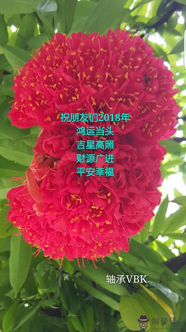 屬牛幾月開始運勢變好